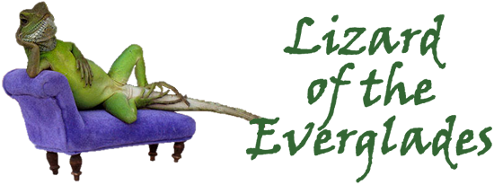 Lizard of the Everglades